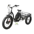 3 Wheels Electric Bikes Brushless Motor Lithium Power Tricycles